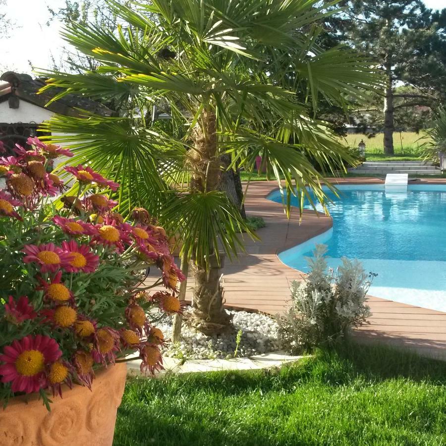 Le Clos De Saint Amour Montauban Buitenkant foto
